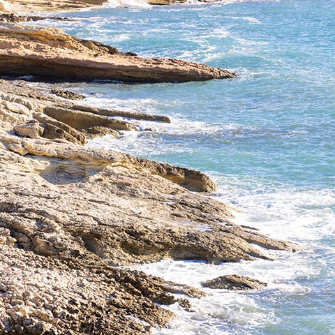 La Calanque Bleue à Sausset-les-Pins, spécialiste de la bouillabaisse