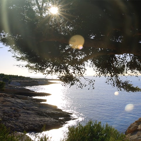 La Calanque Bleue à Sausset-les-Pins, spécialiste de la bouillabaisse