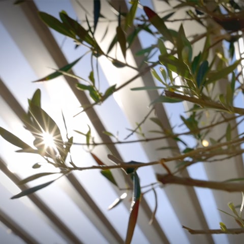 La Calanque Bleue à Sausset-les-Pins, spécialiste de la bouillabaisse