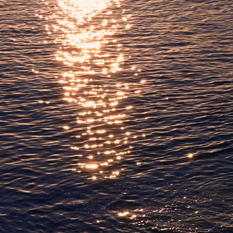 La Calanque Bleue à Sausset-les-Pins, spécialiste de la bouillabaisse